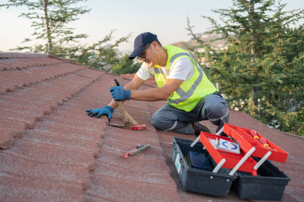 Best Roof Waterproofing Services  in Untain View, MO