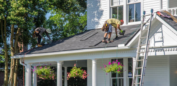 Best Roof Maintenance Services  in Untain View, MO